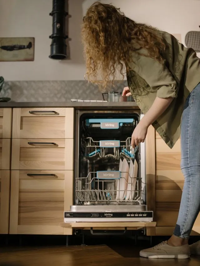 Dishwasher repair gainesville fl